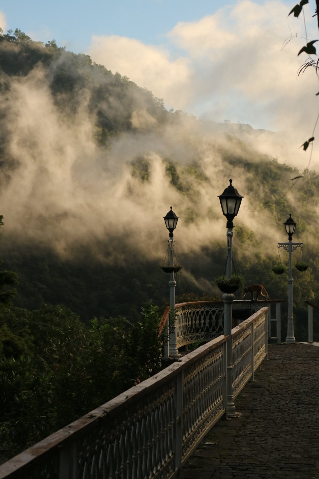 Mist rolling over a hillside behind lamp posts